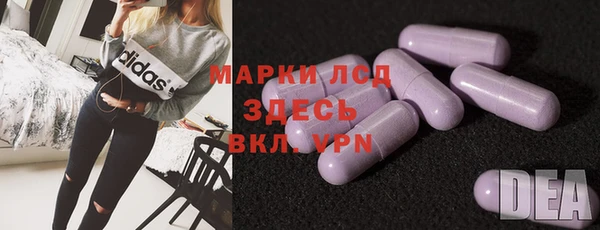 индика Пересвет