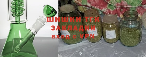 прущие грибы Каменногорск
