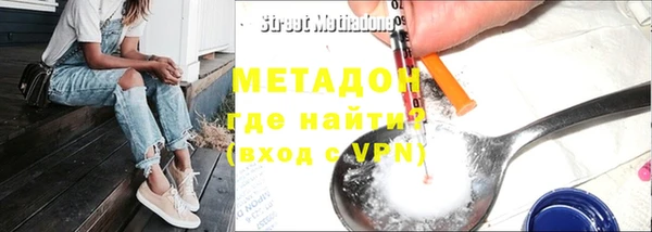 прущие грибы Каменногорск