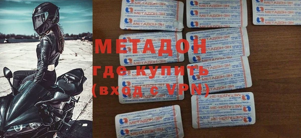 прущие грибы Каменногорск