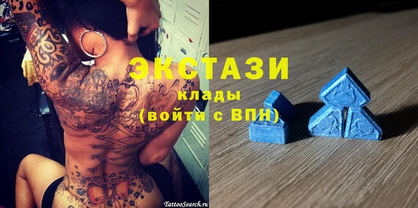 прущие грибы Каменногорск