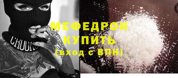 прущие грибы Каменногорск