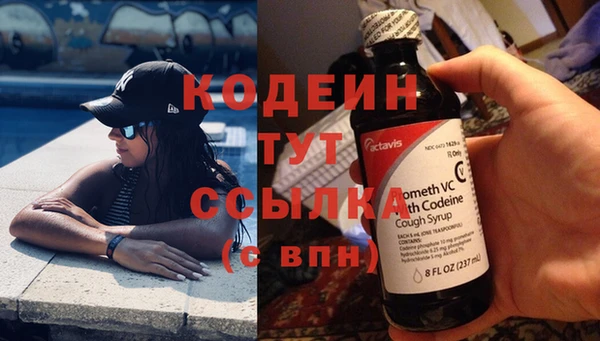 прущие грибы Каменногорск