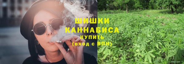 прущие грибы Каменногорск