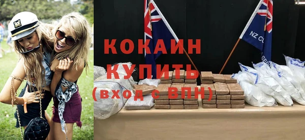 прущие грибы Каменногорск