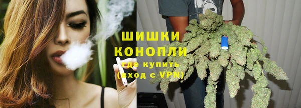 прущие грибы Каменногорск