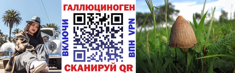 купить  цена  кракен сайт  Галлюциногенные грибы Psilocybine cubensis  Кандалакша 