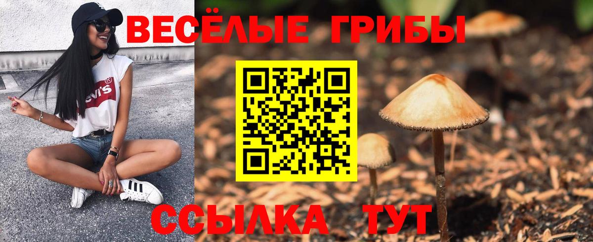 Галлюциногенные грибы ЛСД Кандалакша