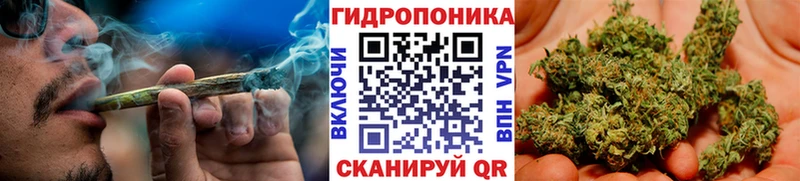 это телеграм  как найти закладки  Кандалакша  МАРИХУАНА конопля 